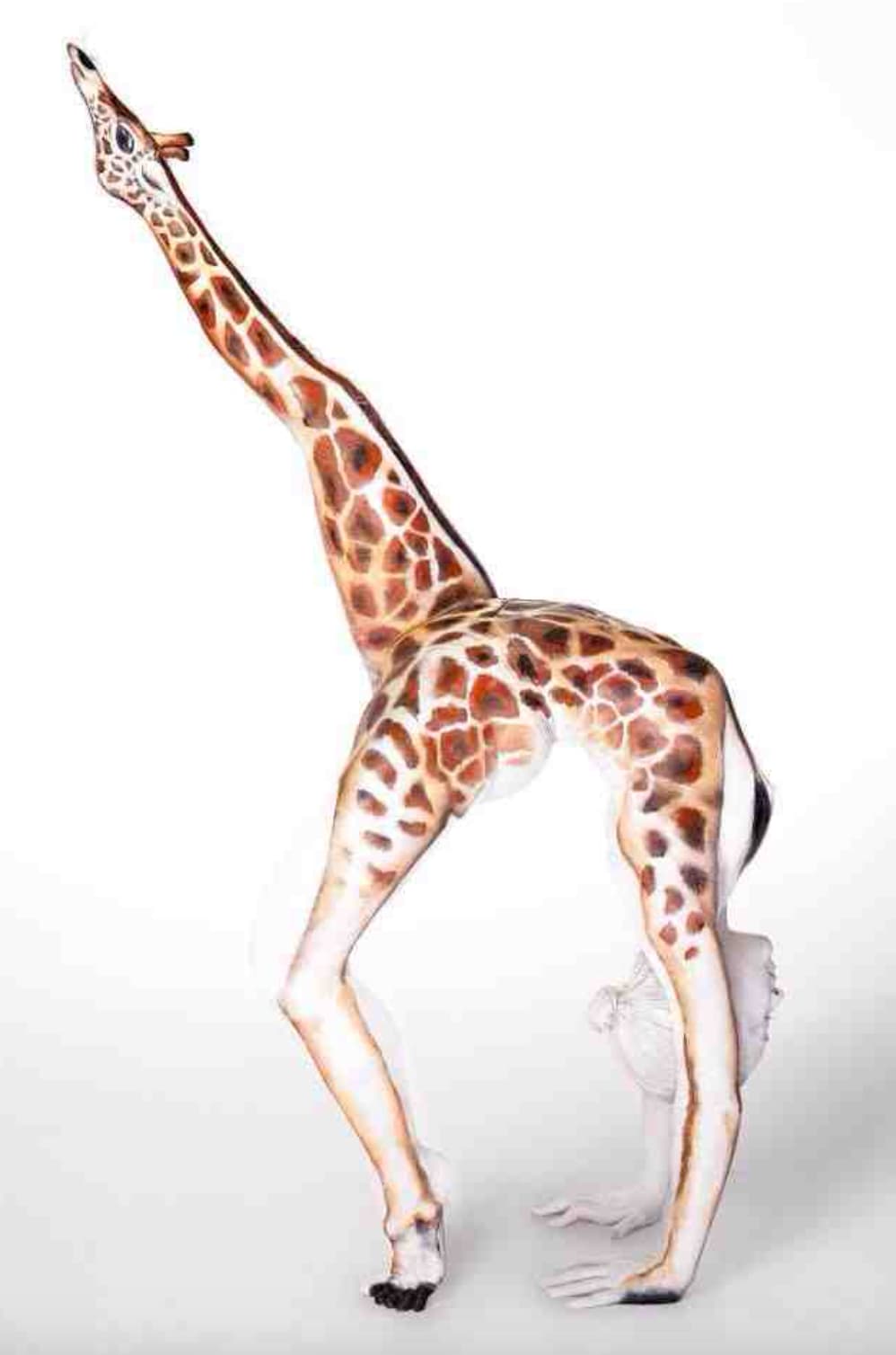 body painting animaux